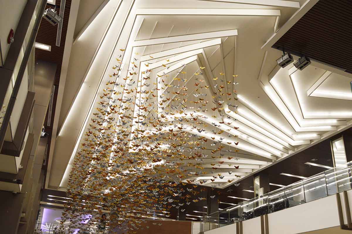 Jockey Plaza Sector 2